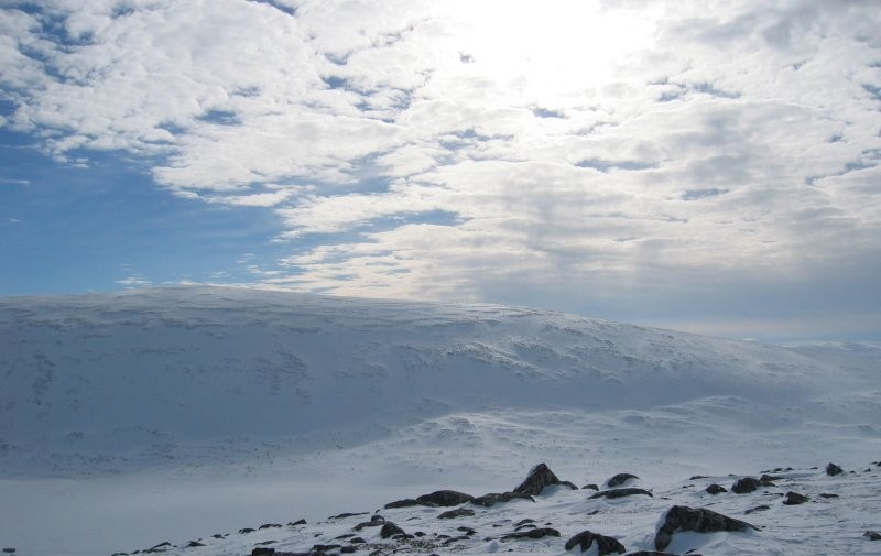 Click for the original image